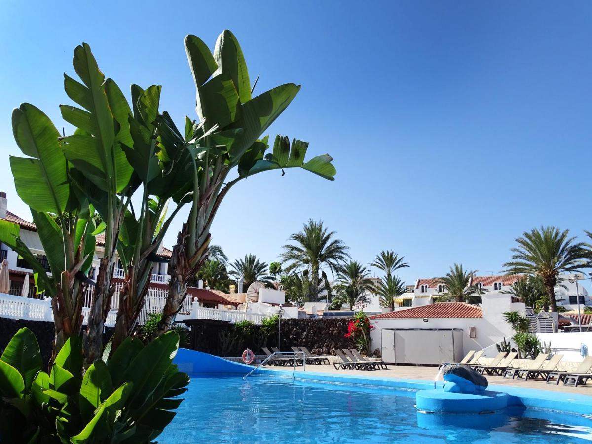 Las Americas Luxury Low-Cost Apartment With Terrace & Views Playa de las Américas Extérieur photo